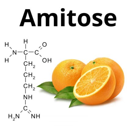 Amitose